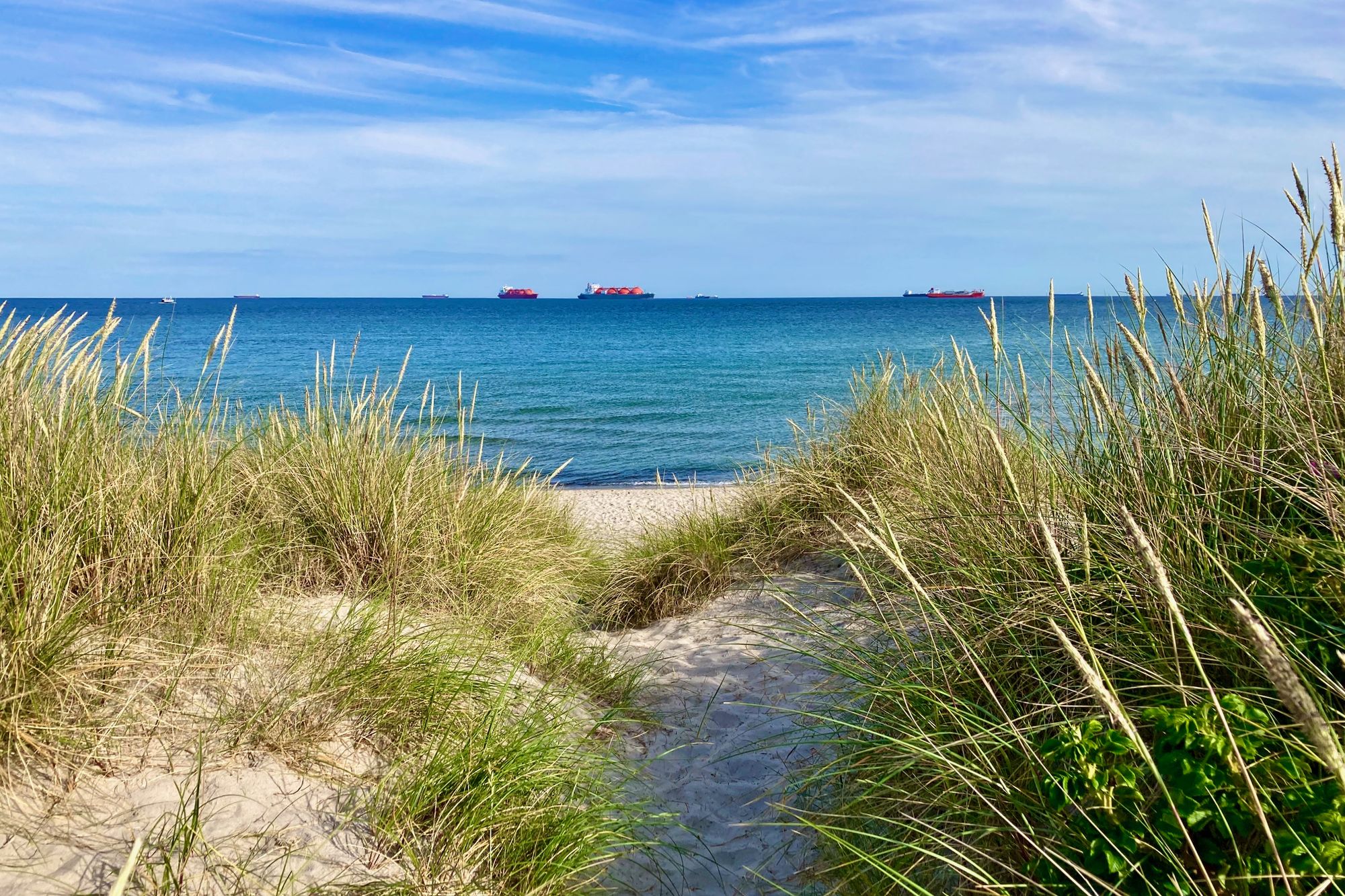 Strand in Dänemark