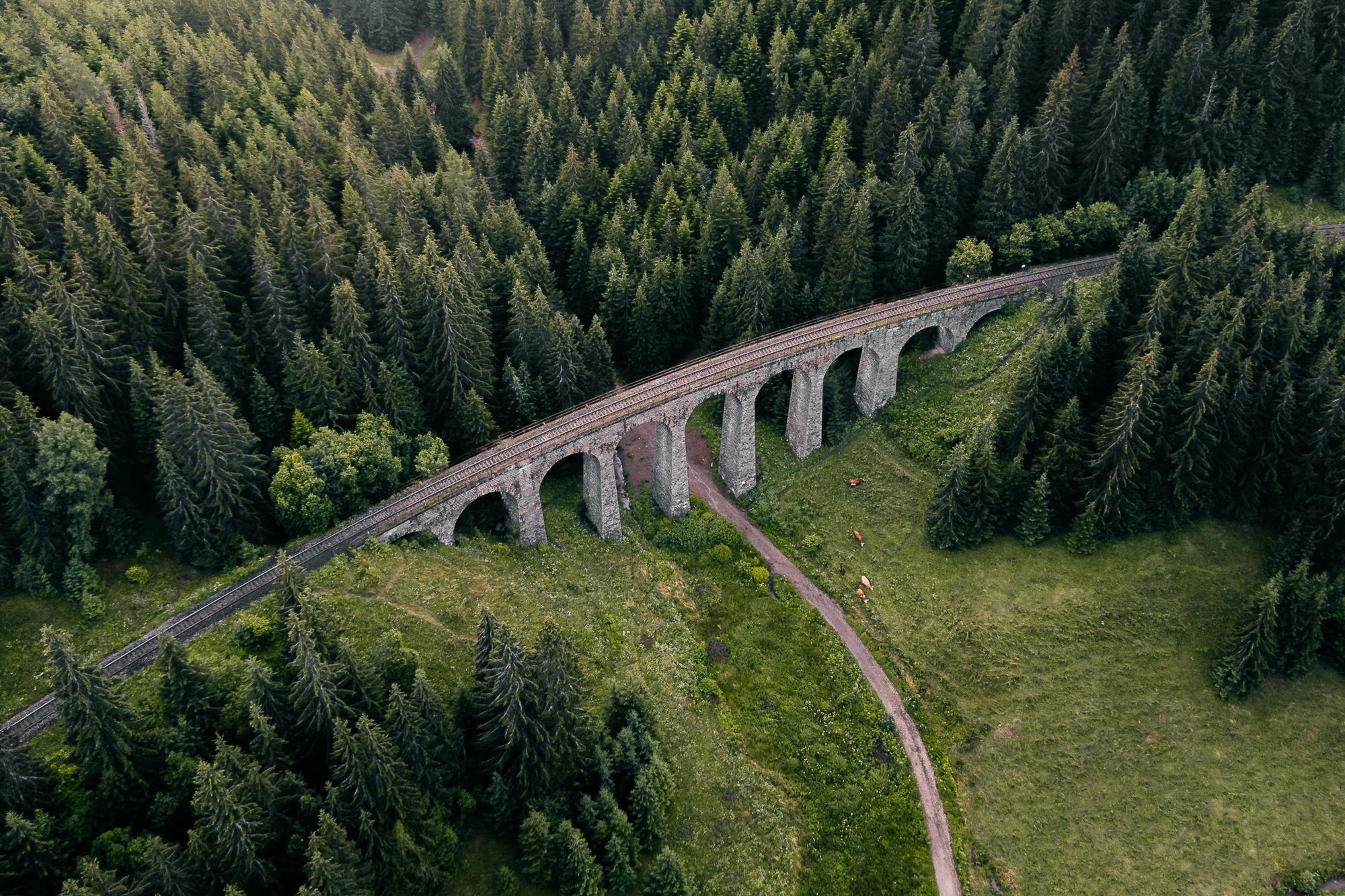 Viadukt und Bäume