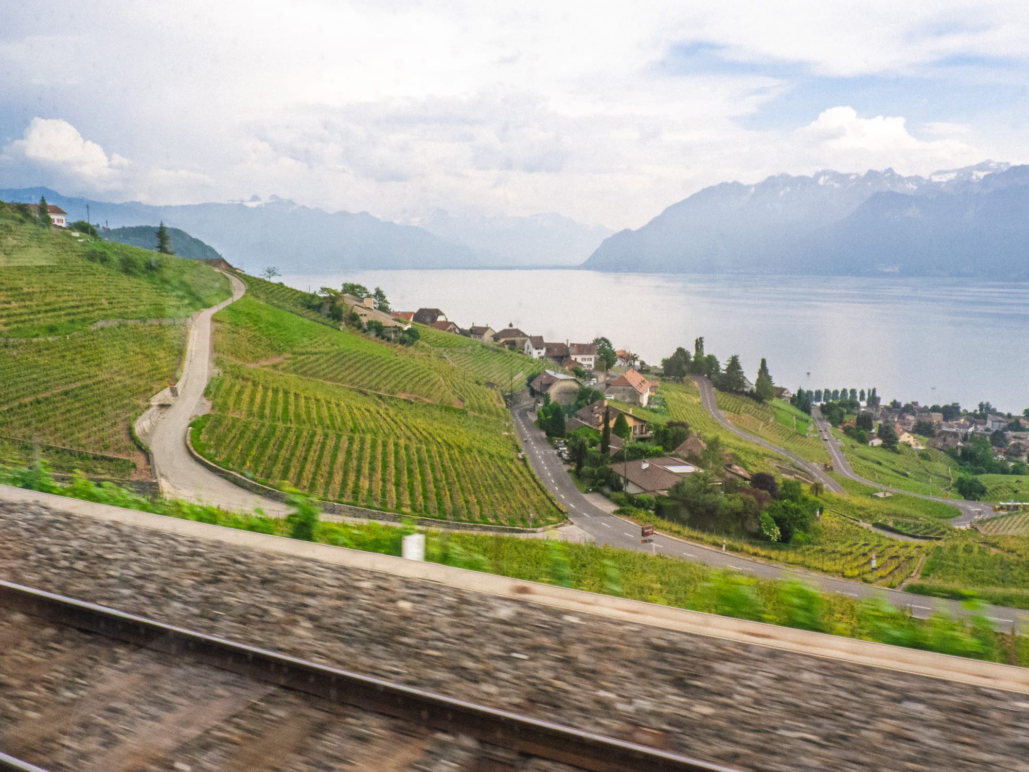 Aussicht auf die Weinberge des Lavaux aus dem Zug