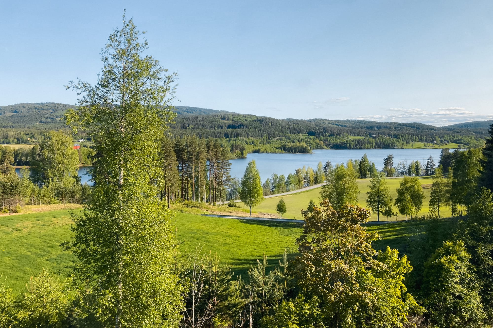 Aussicht auf einen See mit grünen Wiesen und Bäumen