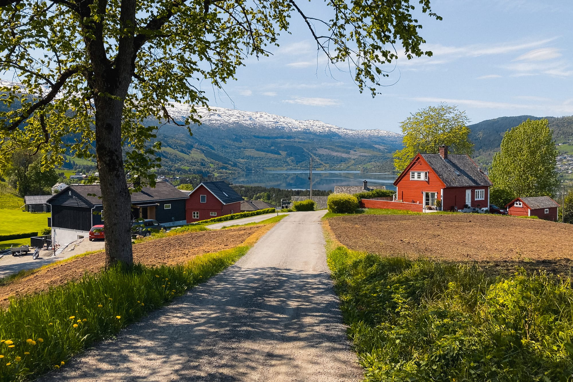 Rote Holzhäuser und Aussicht auf den See in Voss