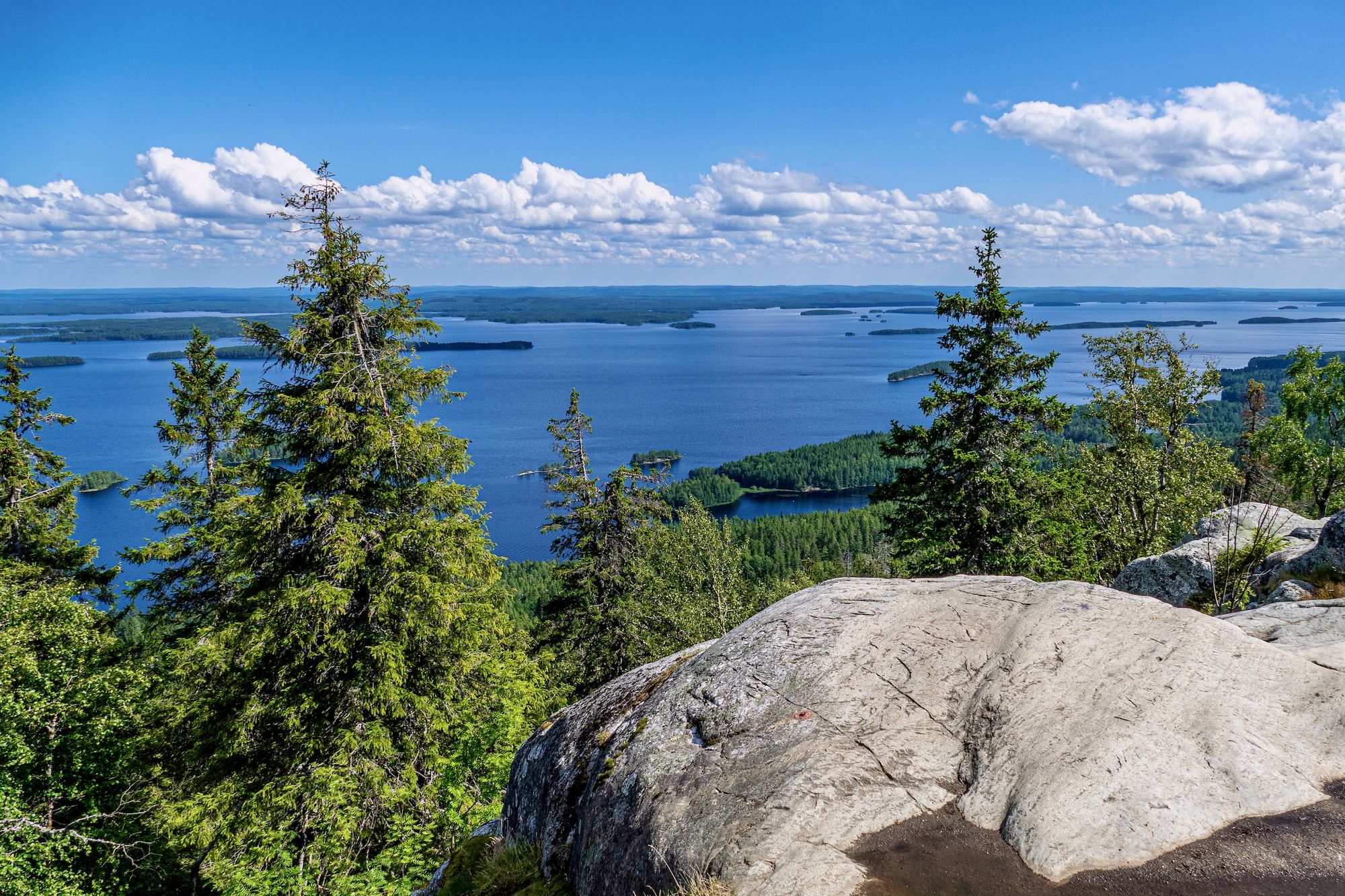 Aussicht vom Ukko-Koli auf den Pielinen-See