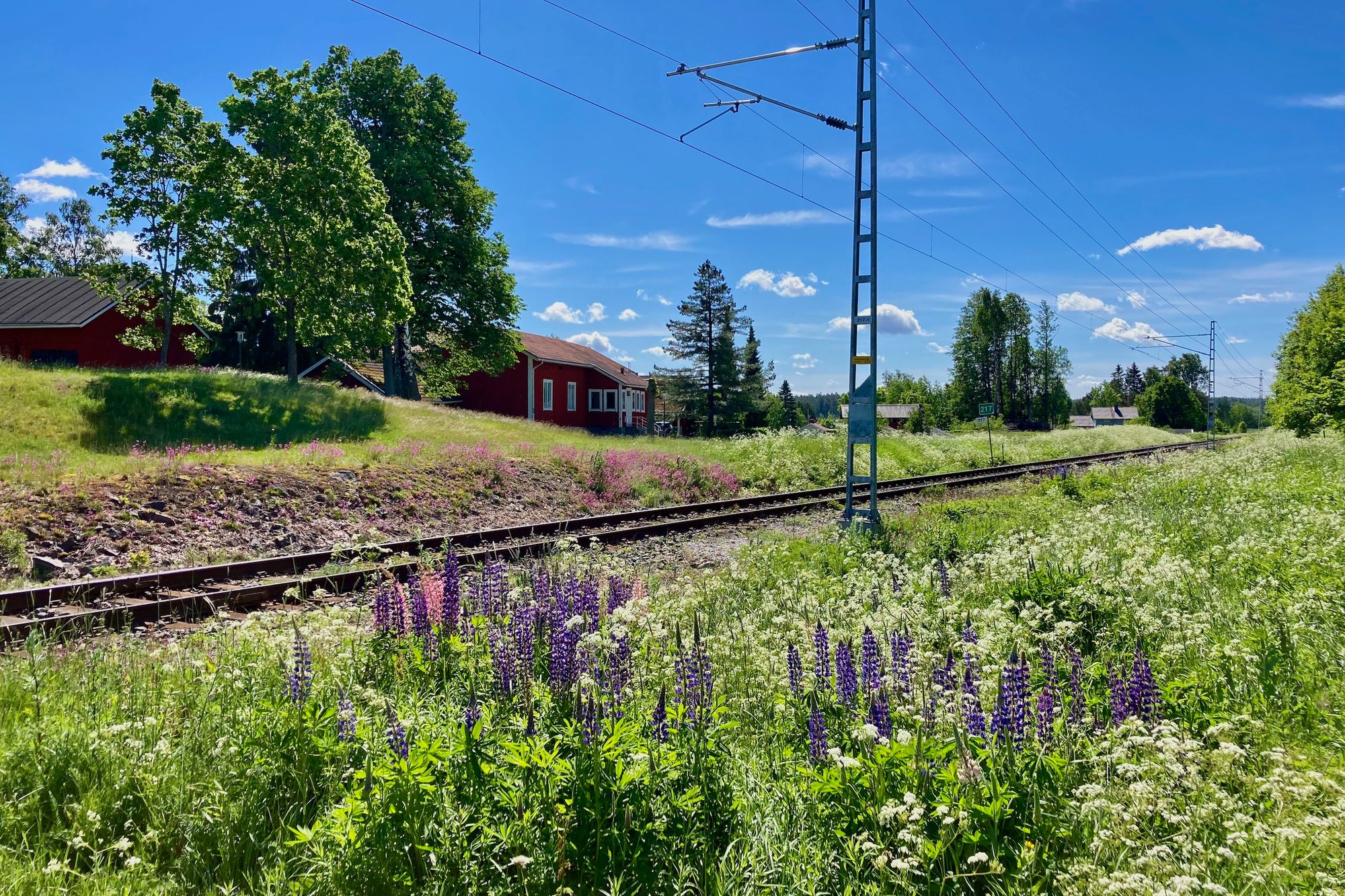 Bahnstrecke, Holzhäuser, Blumen